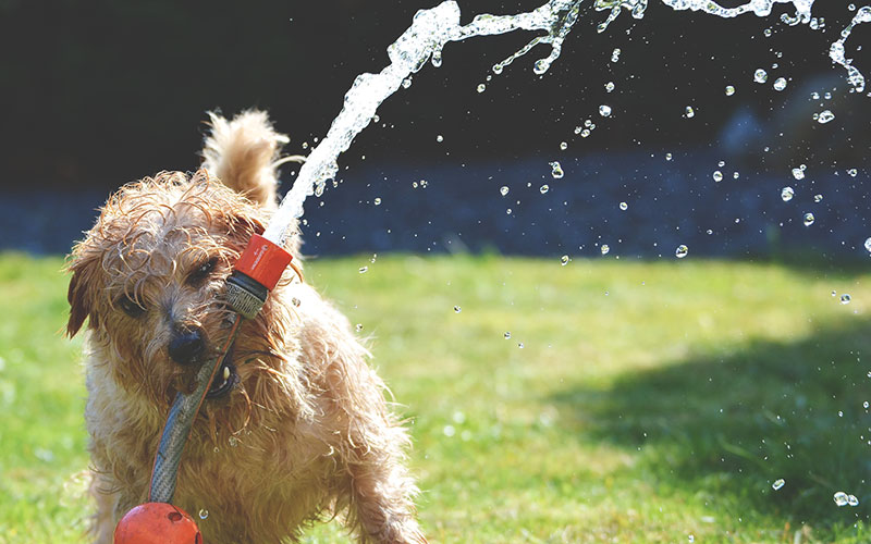 損得で考えない